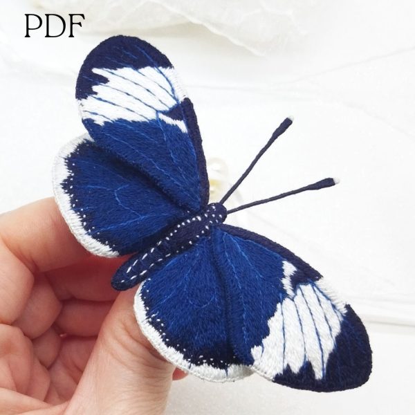 blue butterfly