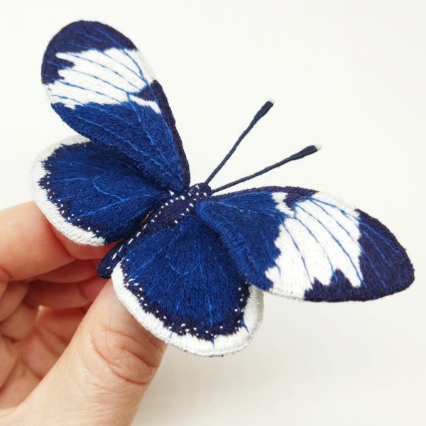 blue butterfly