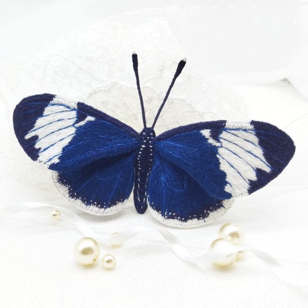 blue butterfly
