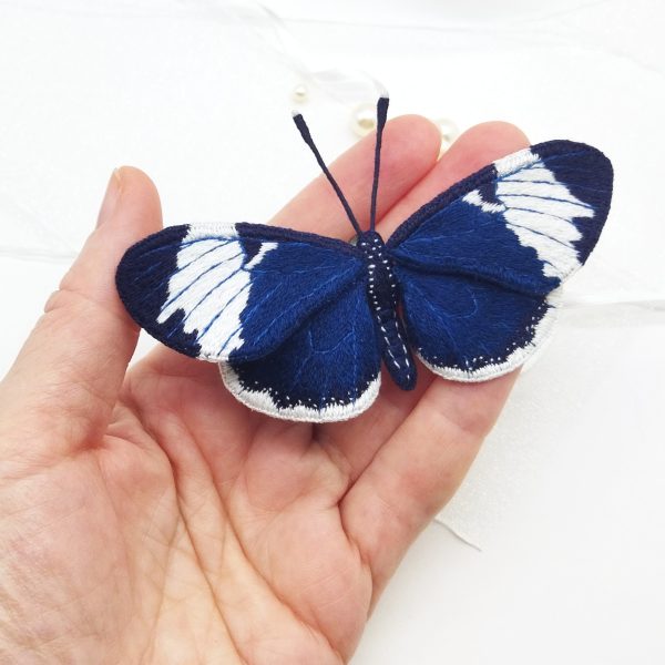 blue butterfly
