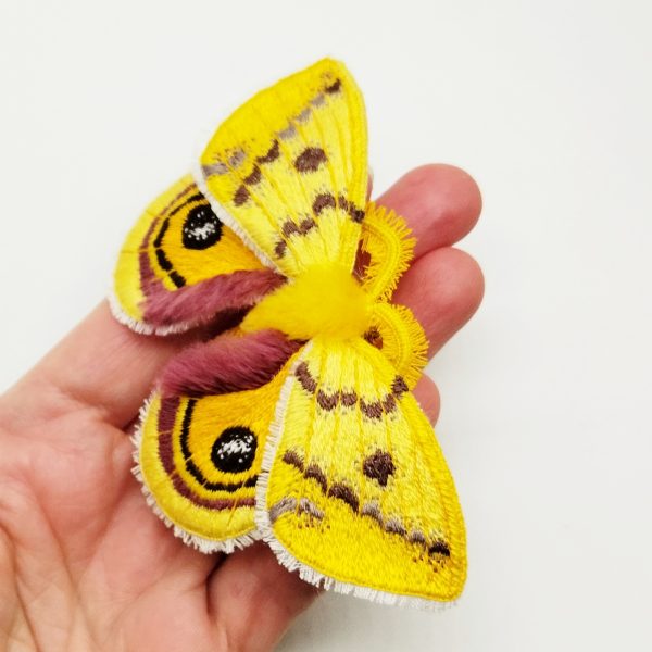 Embroidery moth