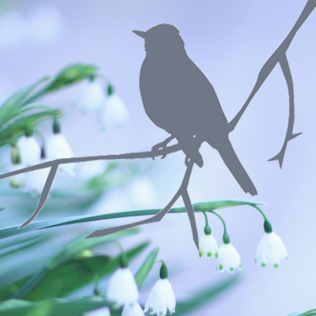 BirdOnBranch