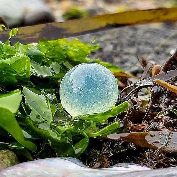 JapanSeaGlass