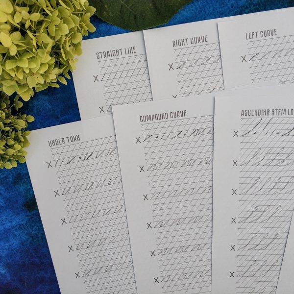 Spencerian Principles